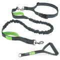 Leash with Bungee and Dog treat pouch Adjustable